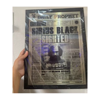 Quadro 3D Harry Potter