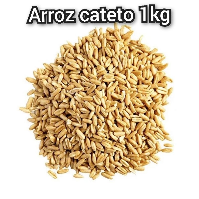 Arroz cateto 1kg (Soprado) | Shopee Brasil