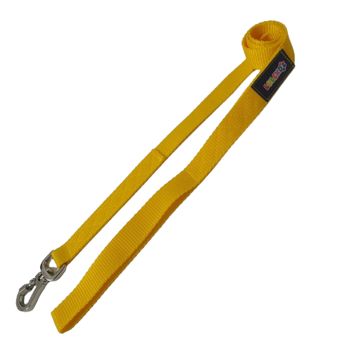 Guia Pet Básica Colorida Luleko - Amarela | Shopee Brasil