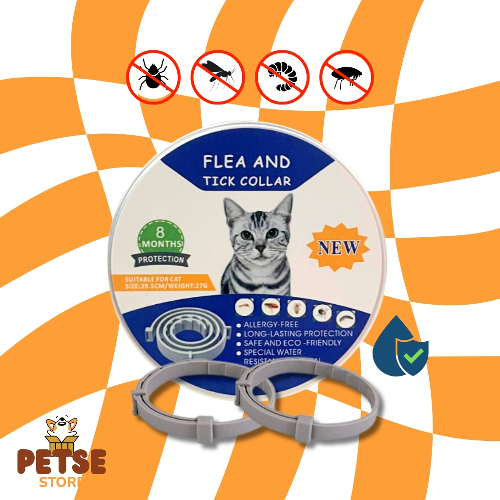 Coleira para Gatos Repelente Contra Pulgas, Carrapatos e Leishmaniose ...