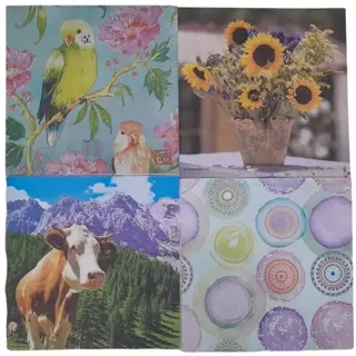 Guardanapo Decoupage 20 folhas sortidas