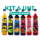 Kit 6 Xaropes Dilute para Drink Soda Italiana Gin - Escolha