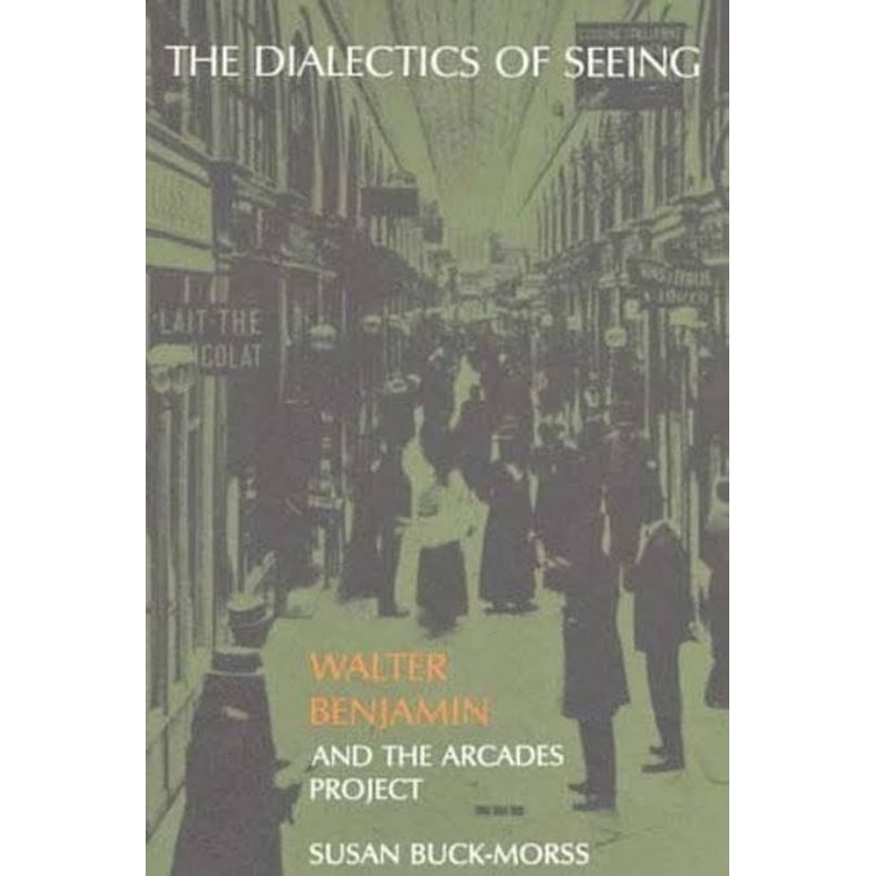 Susan Buck-Morss - The dialectics of seeing Walter Benjamin | Shopee Brasil