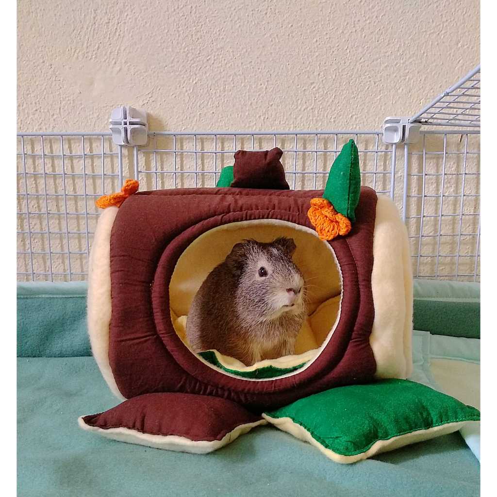 Cama toca divertida para porquinhos da índia | Shopee Brasil