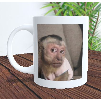 caneca xícara presente macaco olhando alta qualidadee