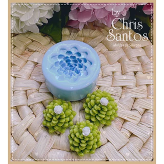 Molde de Silicone Suculenta 3D (ponta aguda)