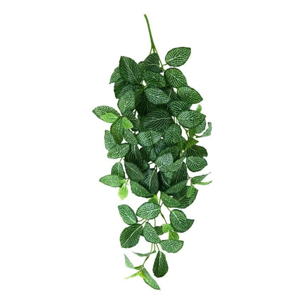 1 Buquê Fitônia Folhagem Perfeita para Decoração Externa arranjos e vaso Casamento sala planta permanente decorativa