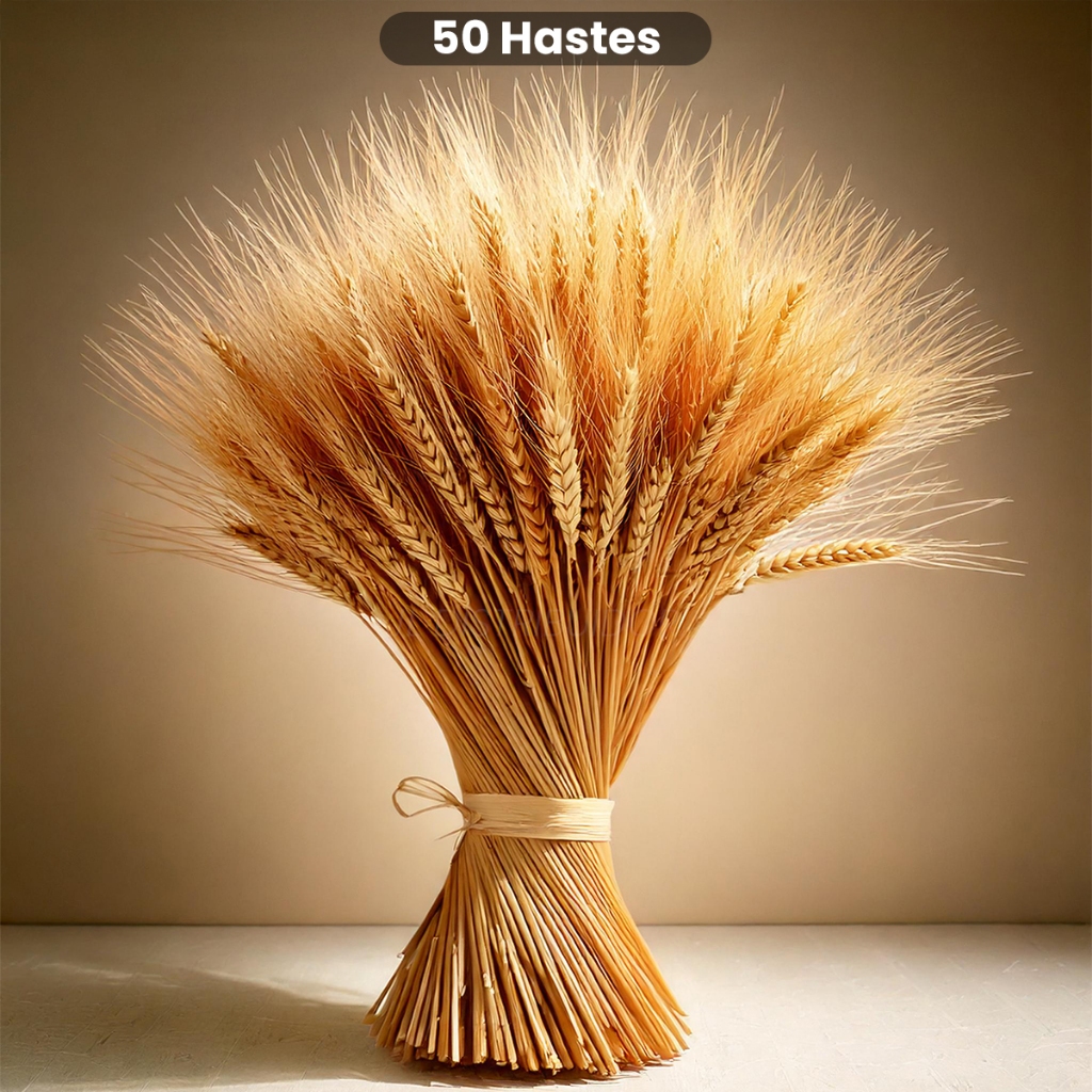 br-11134207-7r98o-m57hly8ytp3k81