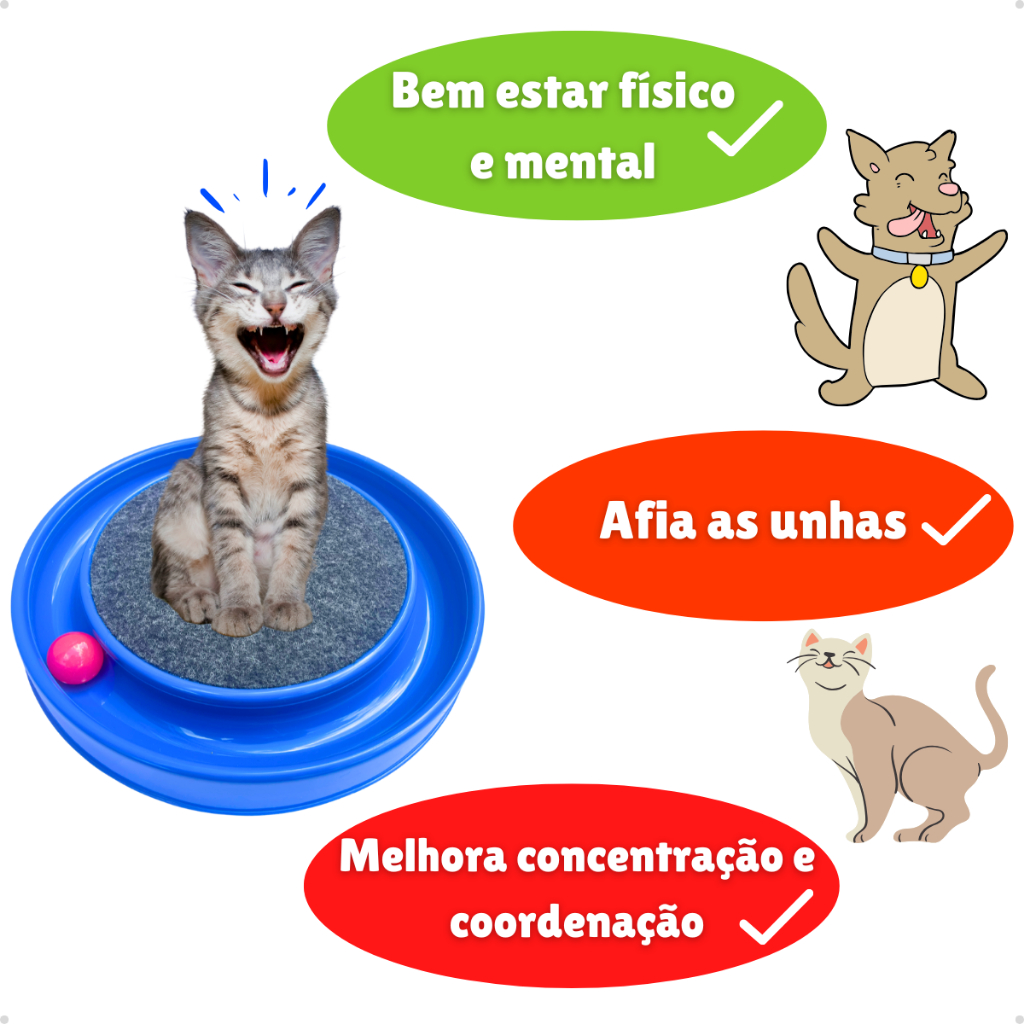 br-11134207-7r98o-m58xssju1qk2fa