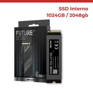 HIKSEM FUTURE NVMe M.2 SSD 2048GB（Interní SSD HIKSEMI FUTURE 2048 