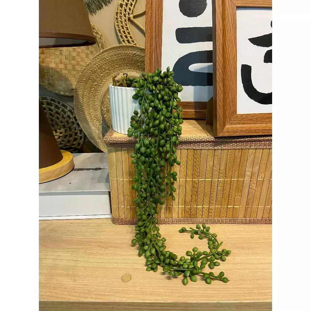 Vaso Decorativo com Suculenta Pendente Vasinho Casa Escritório Sala