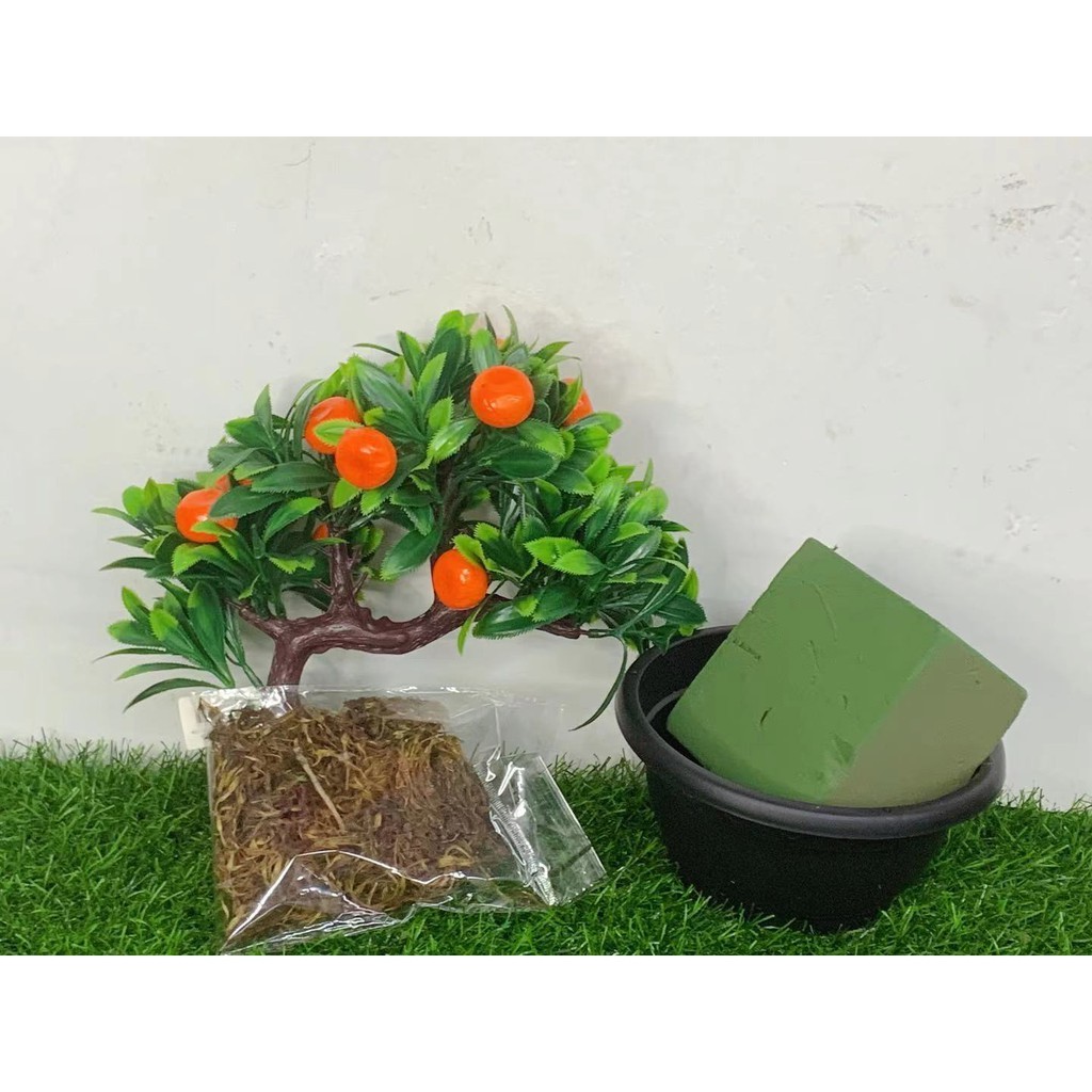 kit Flor Banzai, Musgo, Esponja Floral e Vaso Plastico | Shopee Brasil
