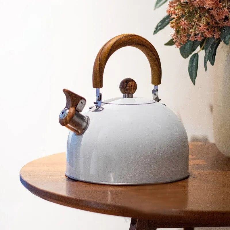 Chaleira De Inox Esmaltada 3L Com Apito Indução Preta, Branca E Verde - Chá  Café Água Bule - Pode Ir No Fogo Resistente