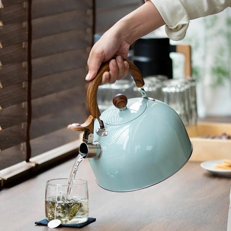 Chaleira De Inox Esmaltada 3L Com Apito Indução Preta, Branca E Verde - Chá  Café Água Bule - Pode Ir No Fogo Resistente