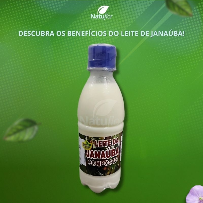 Leite da Janaúba (Janaguba) 300ml Planta Carajas – Antioxidante e Anti ...