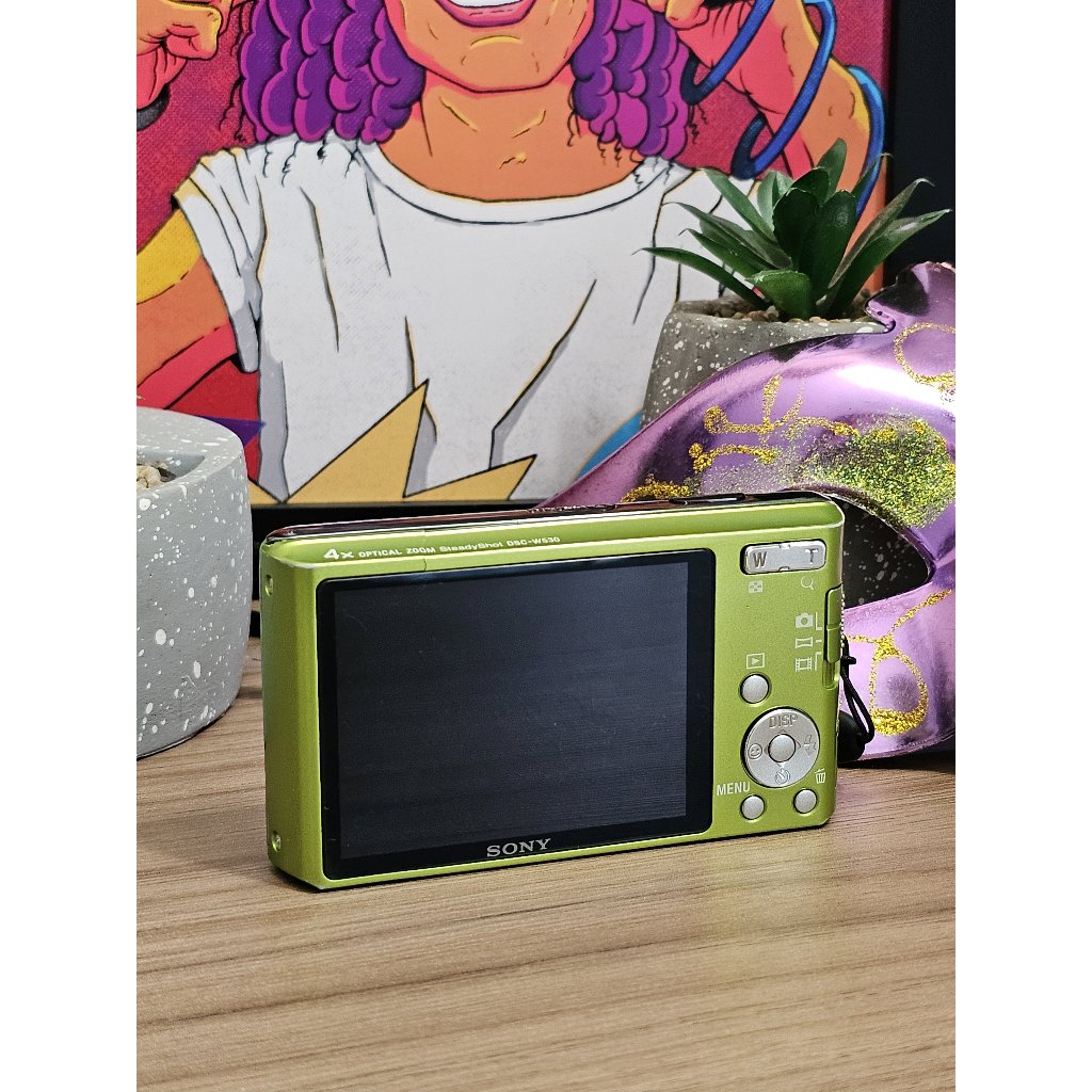 Câmera Digital Sony Cyber-shot Dsc-w530 Verde | Shopee Brasil