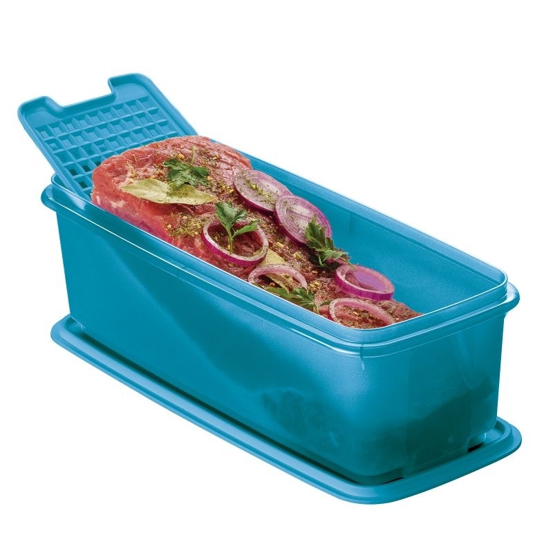 SUPER CAIXA COM GRADE 4,3L AZUL - TUPPERWARE | Shopee Brasil