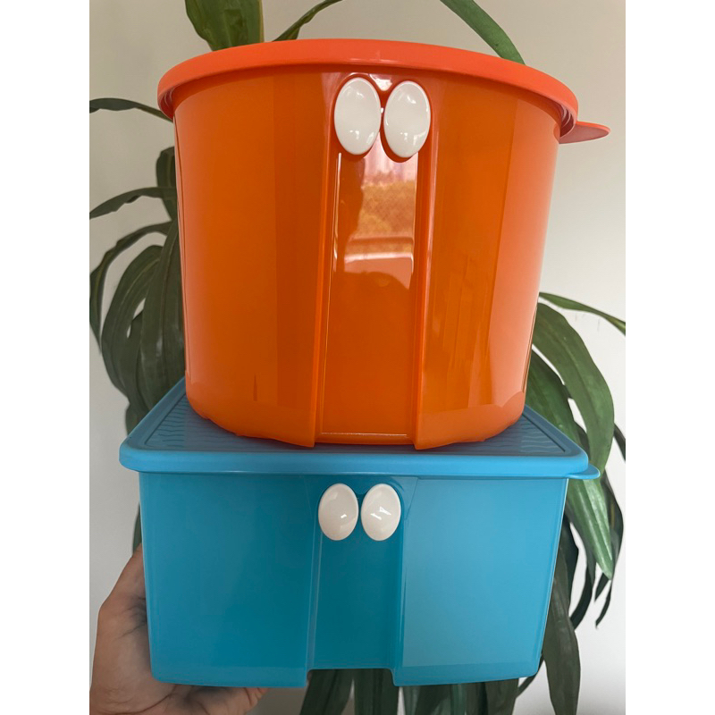 Linha Fresh Smart Tupperware Unidade | Shopee Brasil