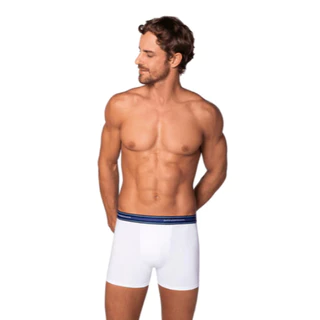 Kit 2 Cuecas Lupo Masculina Boxer Cotton Original 100% Algodão