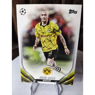Card Marco Reus Borussia Dortmund