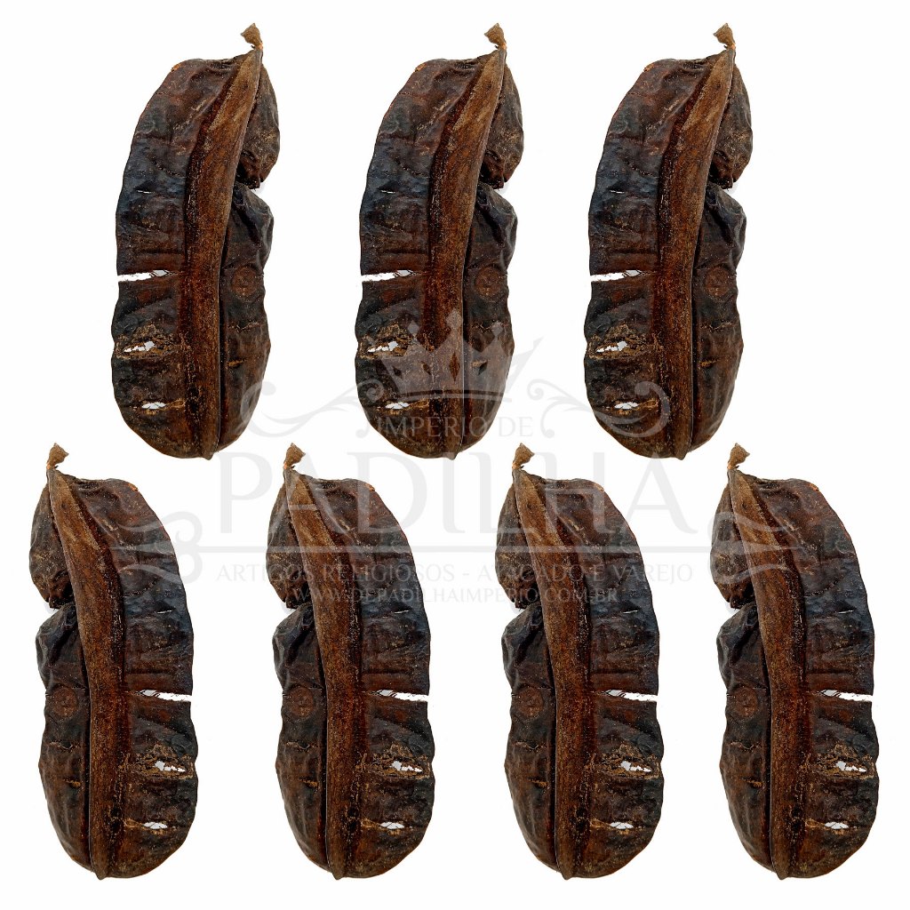KIT 7UN Fava Aridan Semente Africana Ritualistica | Shopee Brasil