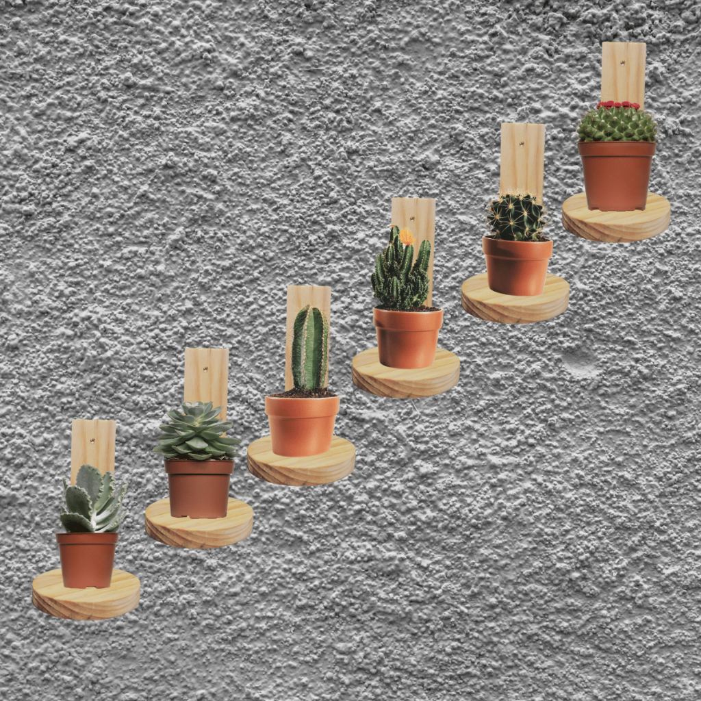 KIT 6 Prateleiras decorativas nicho de parede suporte de madeira pinus para vasos suculenta Pinus | Shopee Brasil