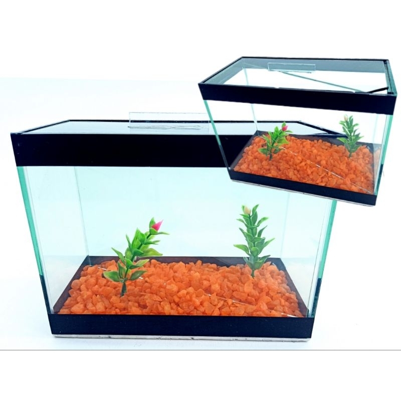 Aquário n1 20x10x15cm duplo invisível 2 peixes 3 litros decorado c