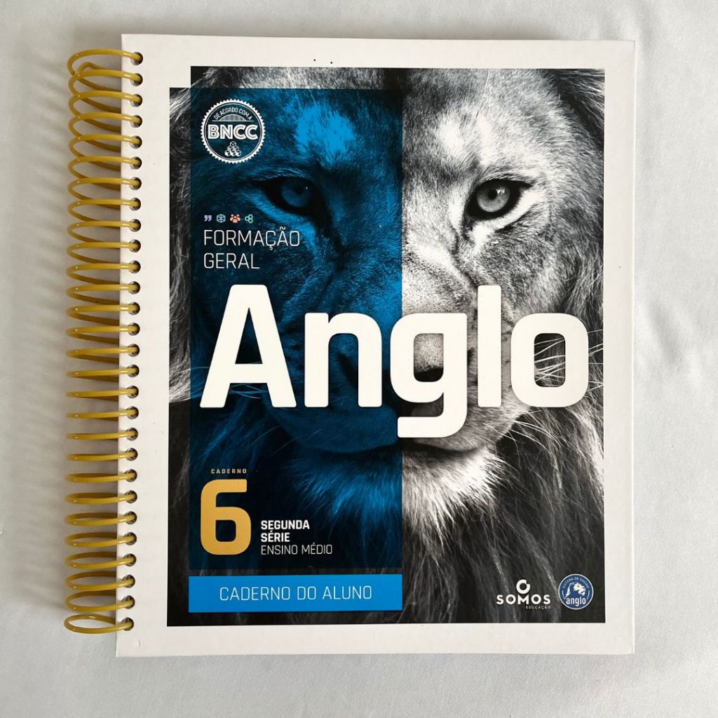 Anglo Formação Geral - Caderno 6 - Segunda Série Ensino Médio - Caderno ...