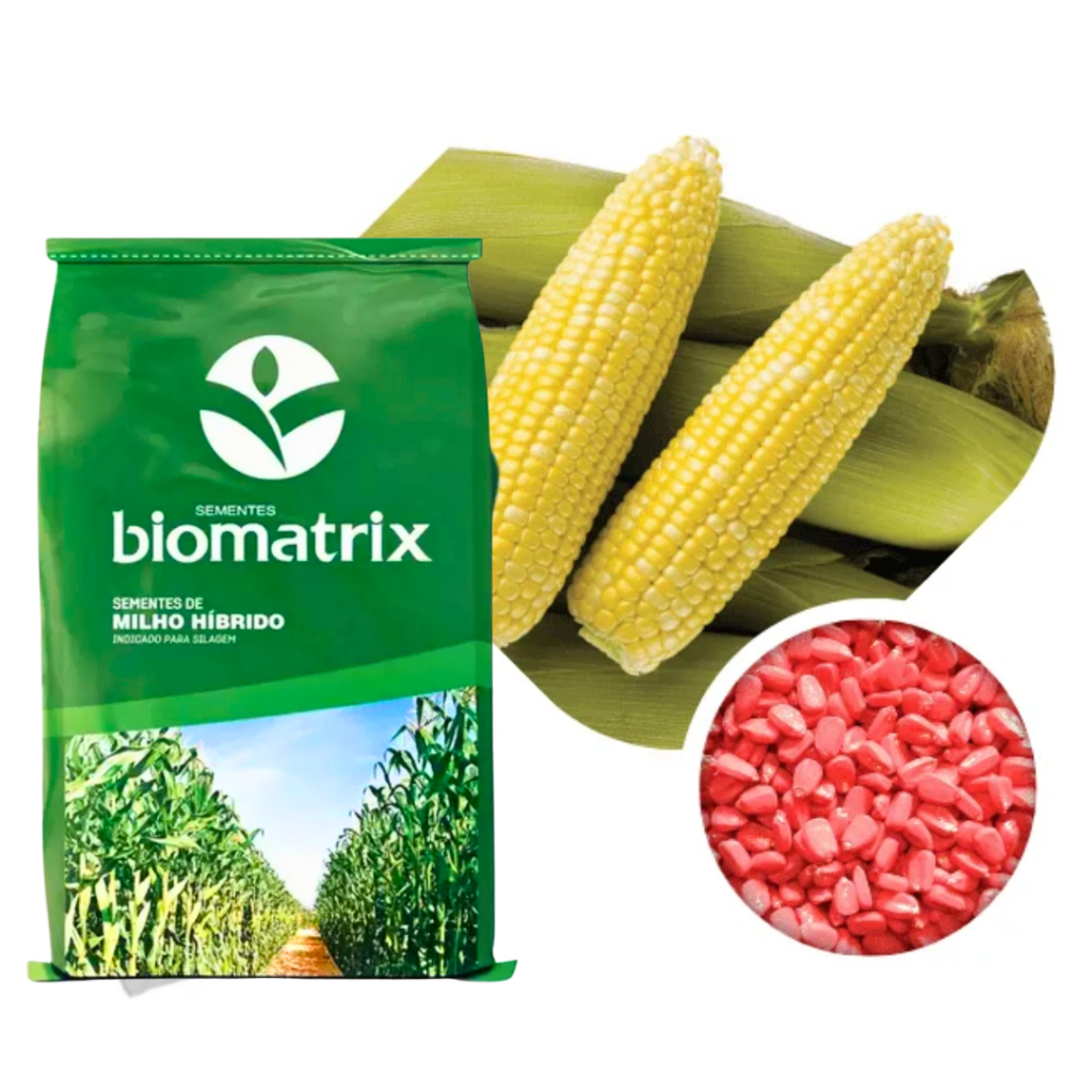 Sementes De Milho Híbrido 3066 BTMax - 5.000 sementes | Shopee Brasil