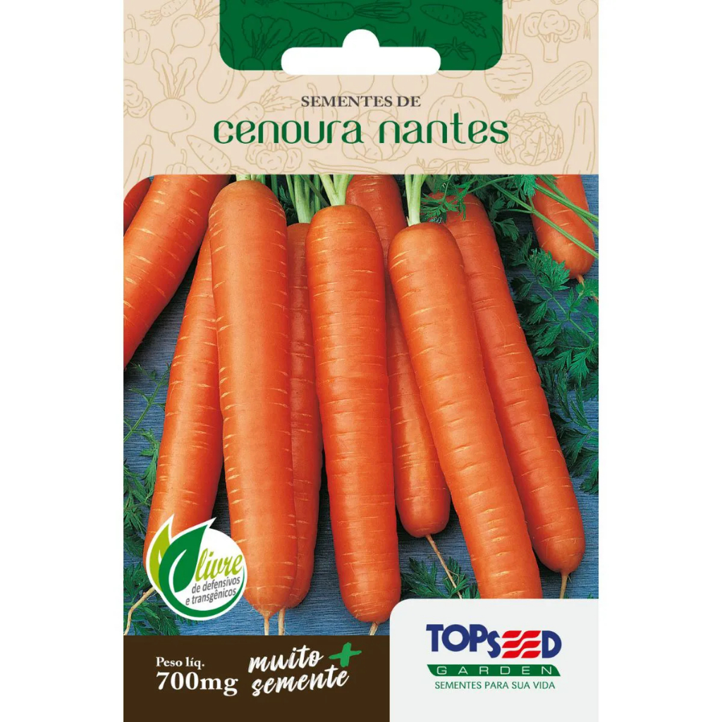 semente-cenoura-nantes-topseed-1-envelope-shopee-brasil