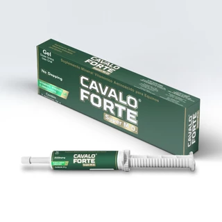 Pasta MO Suplemento Cavalo Forte cx c/ 2Un