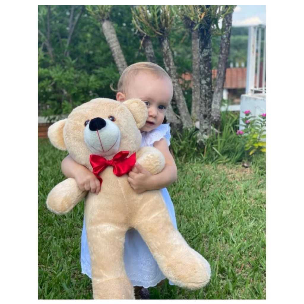 Urso De Pelúcia Teddy 50 cm - Antialérgico - Envio Imediato | Shopee Brasil