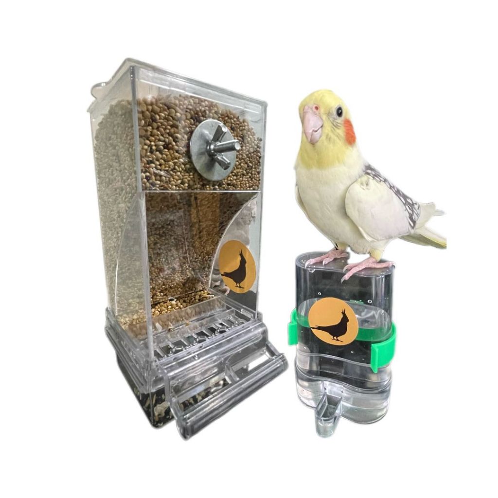 Bebedouro + Comedouro automatico de sementes para calopsitas | Shopee ...