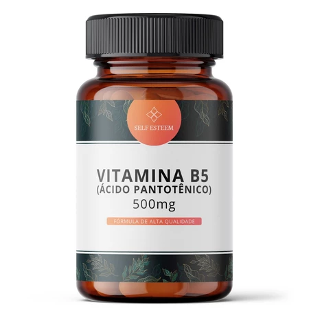 Vitamina B5 (Ácido Pantotênico) 500mg 60 Cápsulas