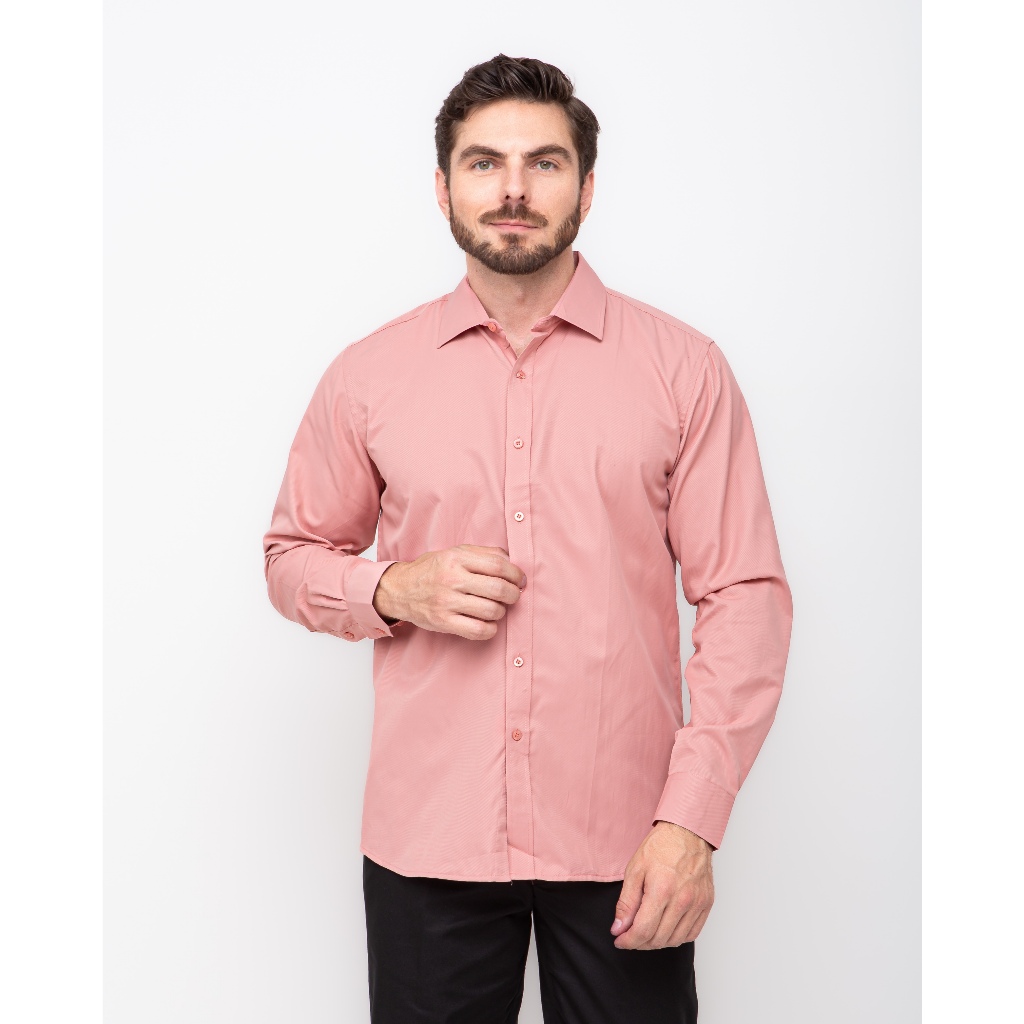 Camisa Social Manga Longa Não Amassa Passa Fácil ZZ-79 | Shopee Brasil