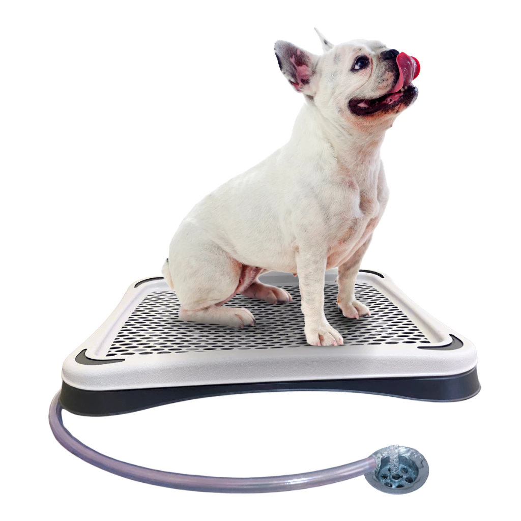 Imagem do produto Banheiro Sanitário Com Dreno E Mangueira Lavável Para Cães - PequenosPets Original no catálogo Master Pet