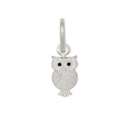[PRATA 925 ] Pingente de Prata coruja Pena 14mm Estampada com Resina