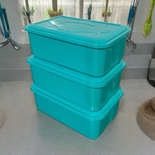 Kit 3 Potes 4 litros Retangular Plástico Reutilizável Orgazinar e Armazenar Alimentos