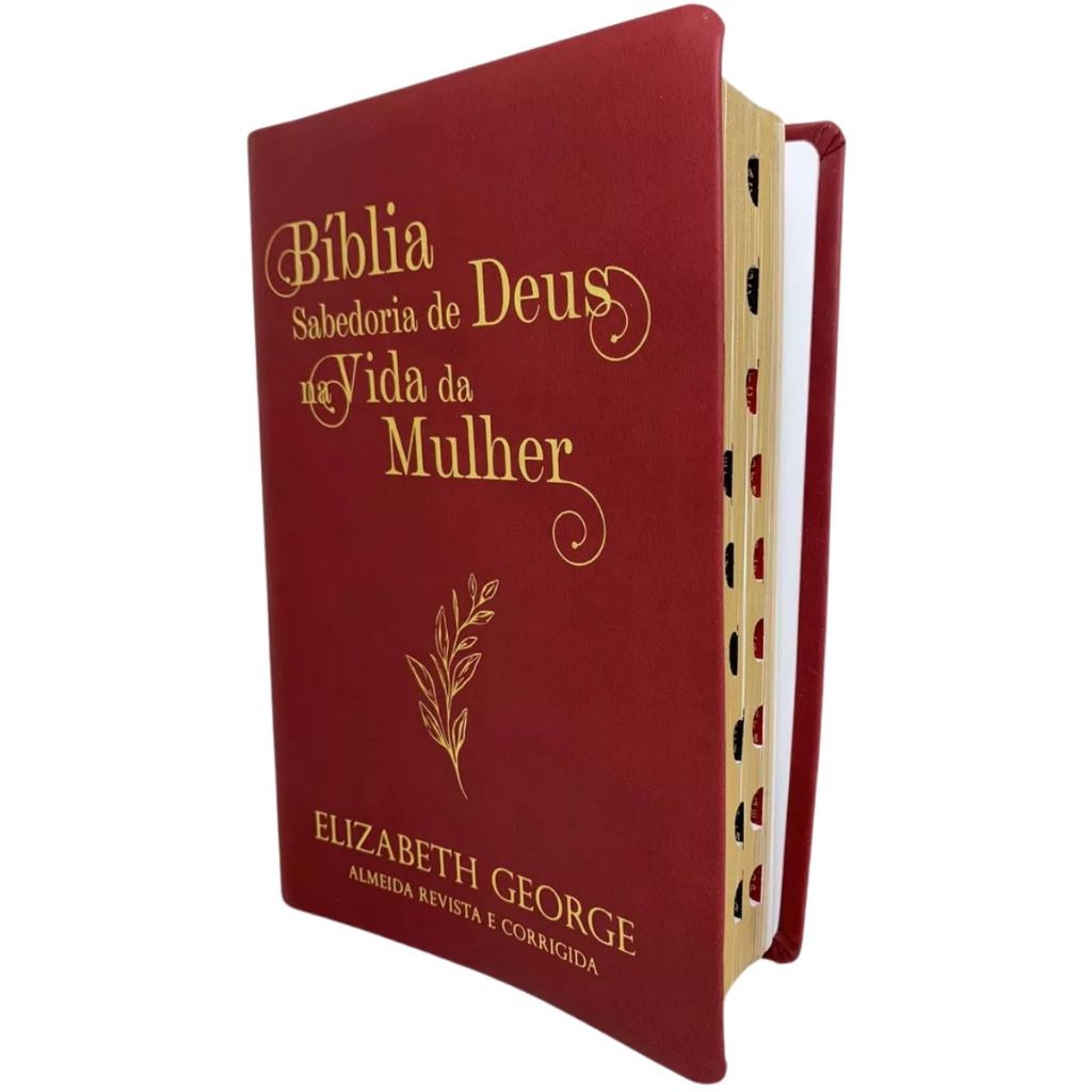 Bíblia Sagrada Sabedoria De Deus Na Vida Da Mulher Luxo Vinho Elizabeth ...