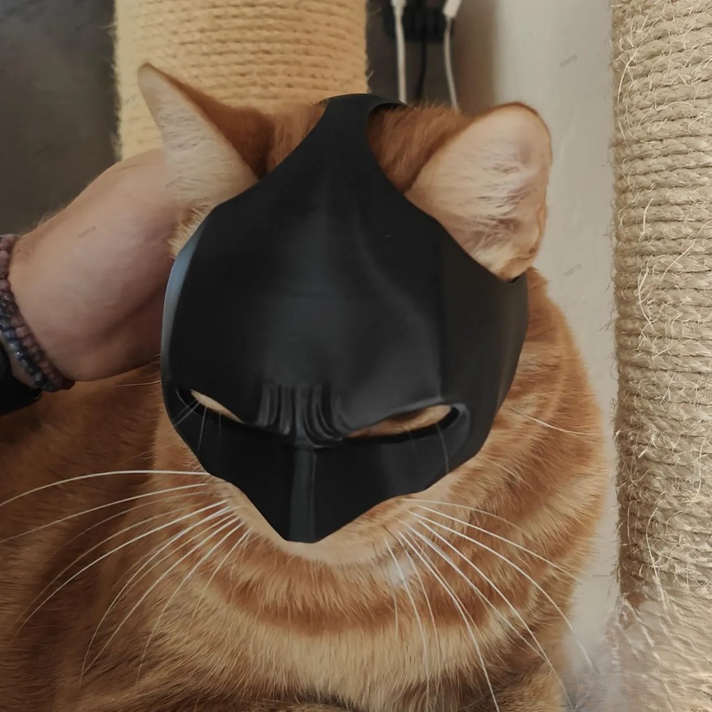 Mascara para gatos Cat Mask impressa em 3D | Shopee Brasil