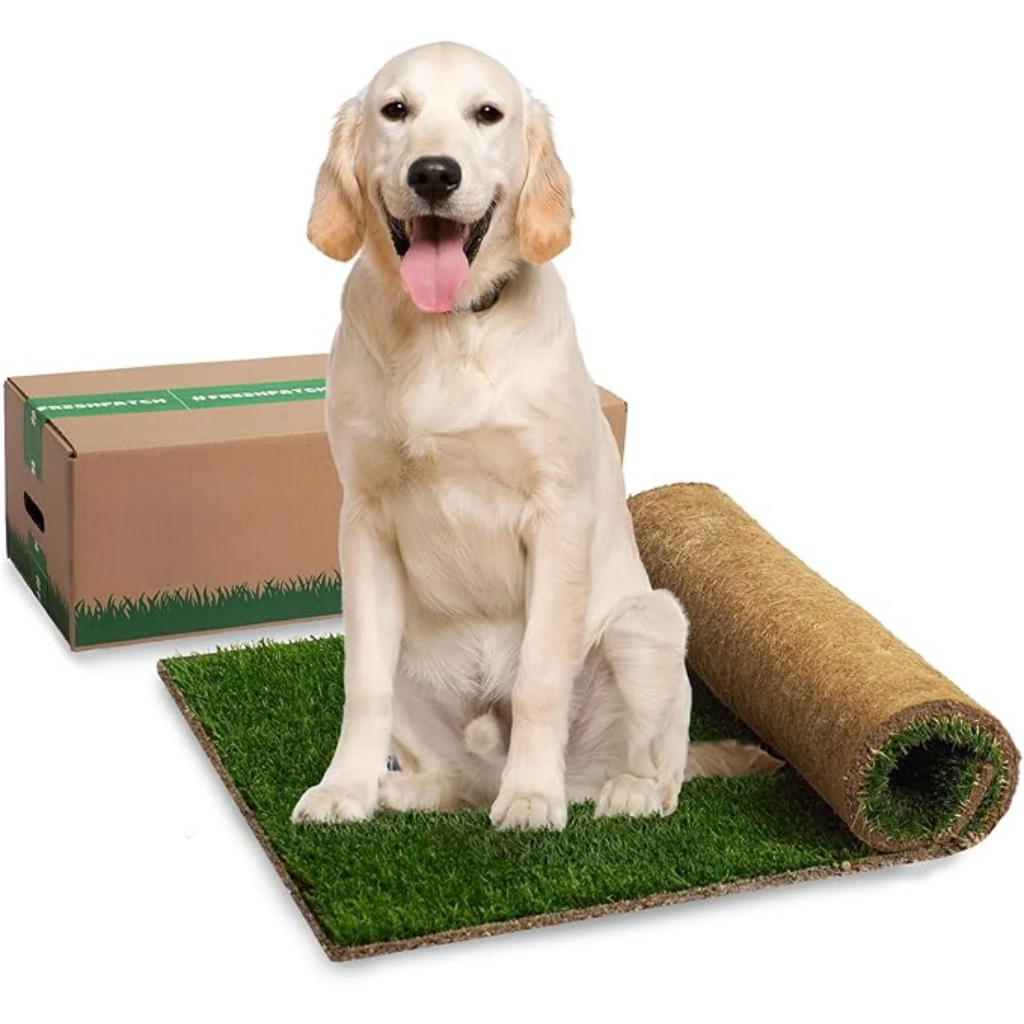 Tapete Higiênico Refil Natural de Grama Para Cachorro 60x40 | Shopee Brasil