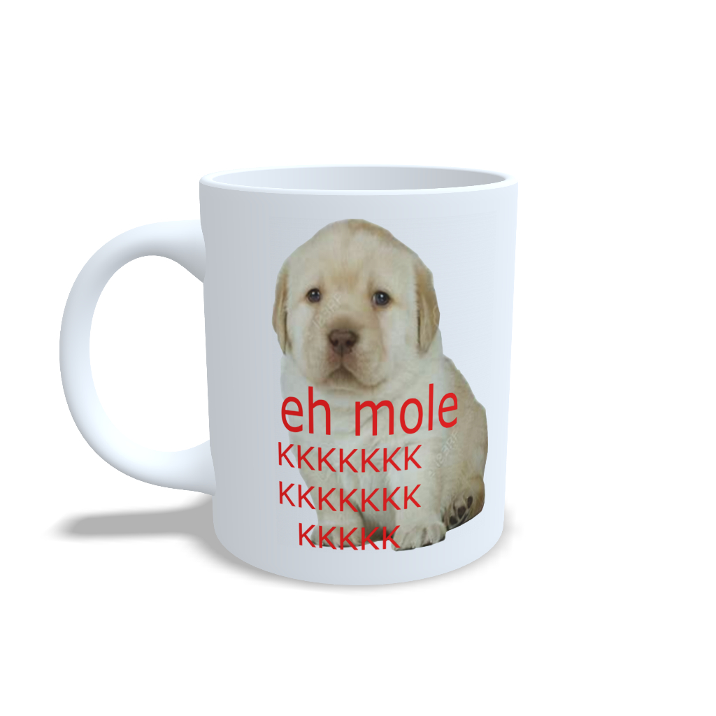 Caneca meme eh mole KKKKKKKKKKKKKKKK caneca presente amigo ladrão presente amigo da onça