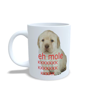 Caneca meme eh mole KKKKKKKKKKKKKKKK caneca presente amigo ladrão presente amigo da onça