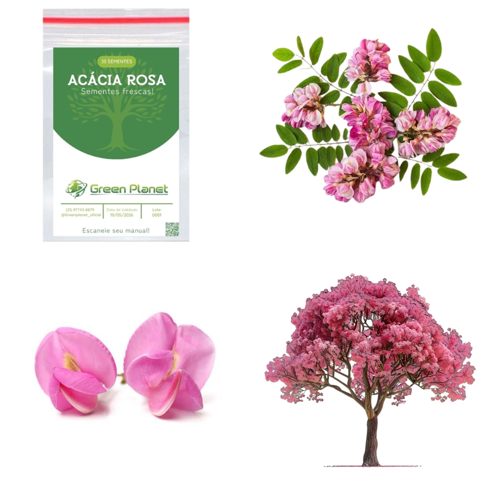 30 Sementes de Acácia Rosa - Floresça seu jardim! | Shopee Brasil