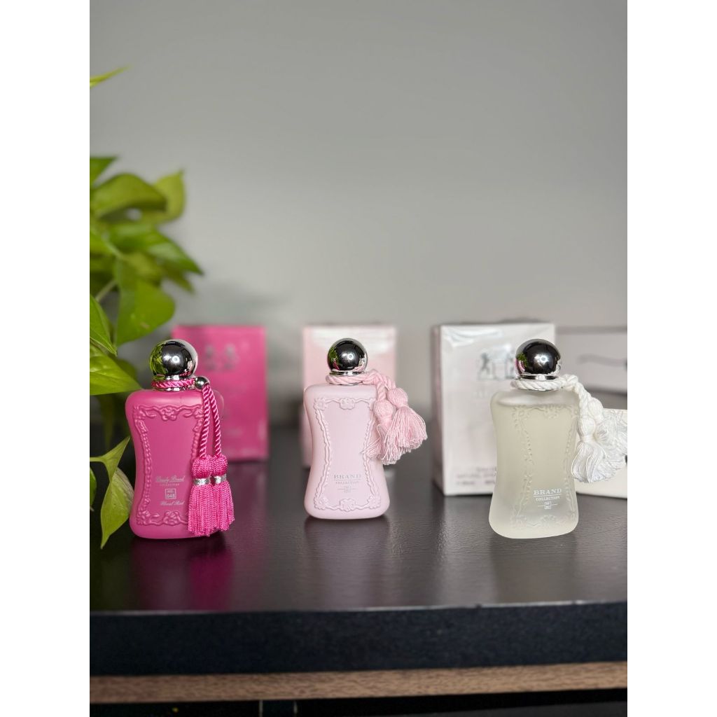 Perfume Delina Exclusifi em Promoção na Shopee Brasil 2025