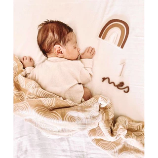 Mesversario Lembrança de Crescimento Minimalista - Álbum Temático do bebê Menina Menino - brinquedo em Oferta na Shopee