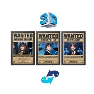 Quadro 3D Harry Potter - Wanted Hermione/ Ron/ Harry