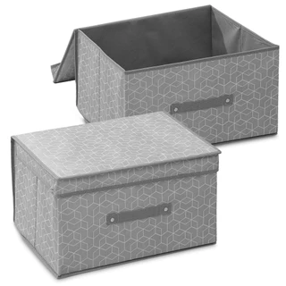 Kit 2 Caixas Organizadoras Multiuso Guarda Roupas Calçados Cobertas TNT Premium Closet Anti Poeira