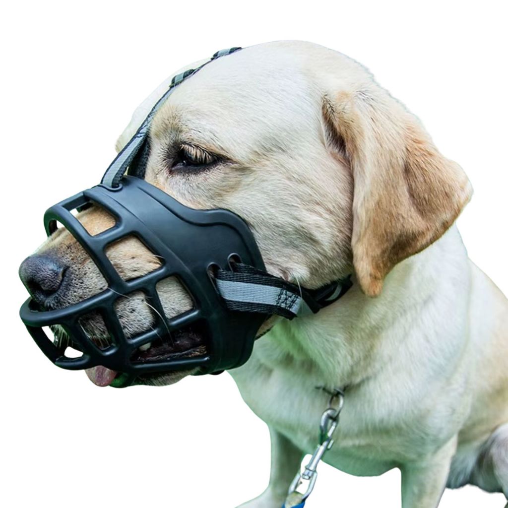 Focinheira Mordaça para Cachorro coleira para cão para seu Pet Pittbll ...