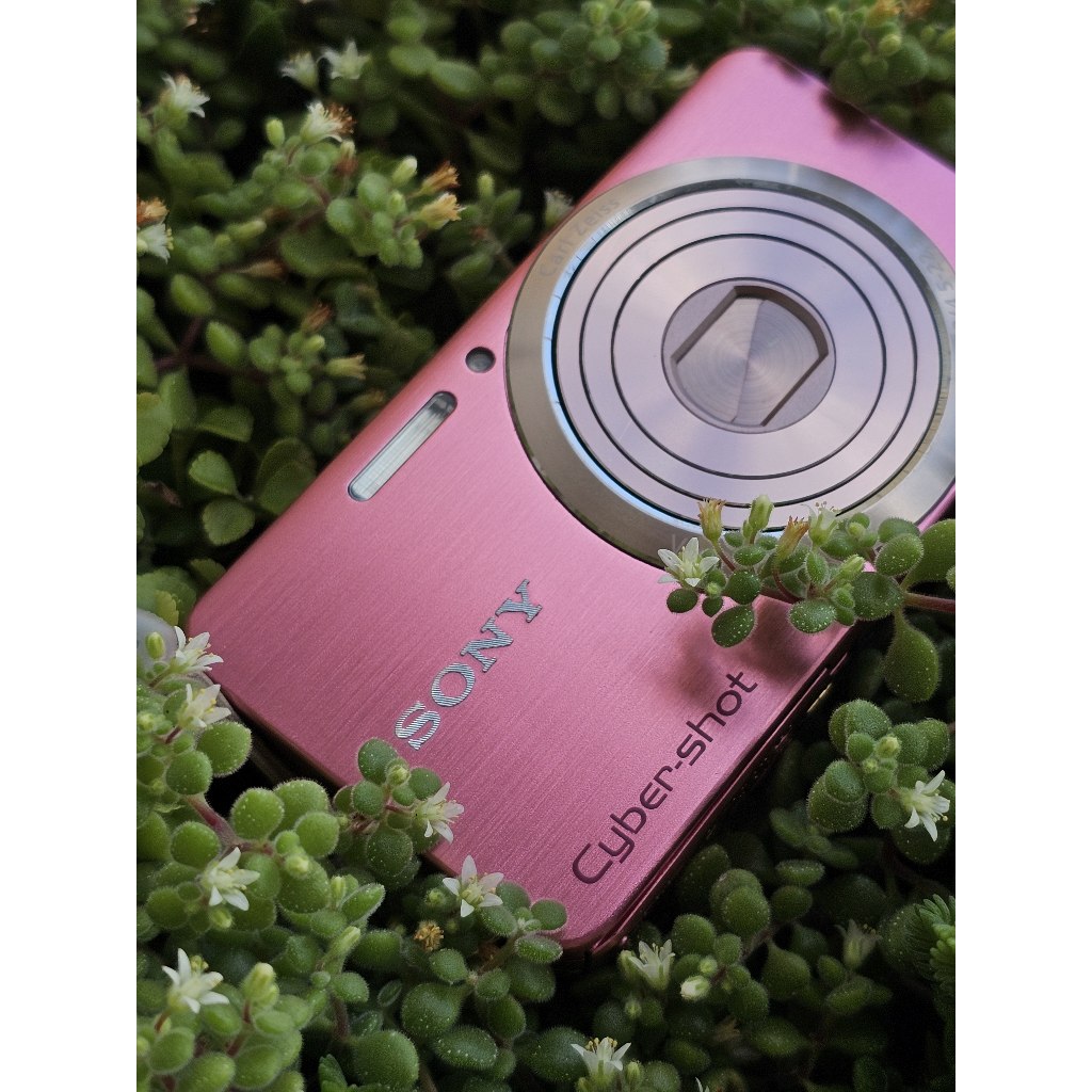 Camera Sony Cyber-Shot DSC-W630 Rosa - id59 | Shopee Brasil